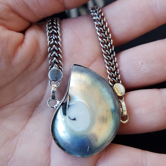 New Ammonite Fossil 925 Silver Bangle Bracelet. - Picture 11 of 16